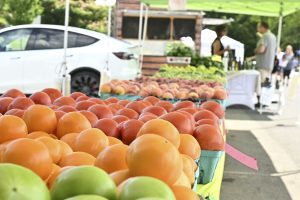 Extreme drought conditions may cause long-term damage to crop yields across the state
